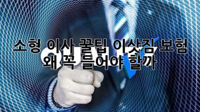 소형 이사 꿀팁🍯 이삿짐 보험, 왜 꼭 들어야 할까? 🤔