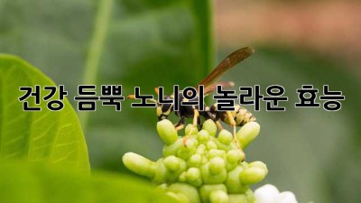 건강 듬뿍! 노니의 놀라운 효능